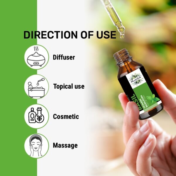 natural basil essential oil – 100% pure & therapeutic grade
