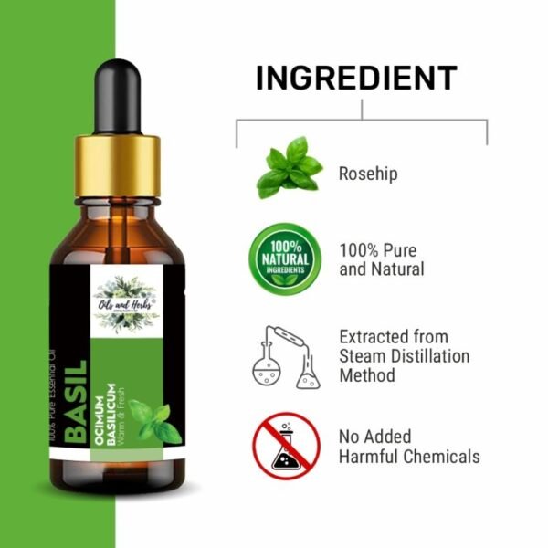 natural basil essential oil – 100% pure & therapeutic grade