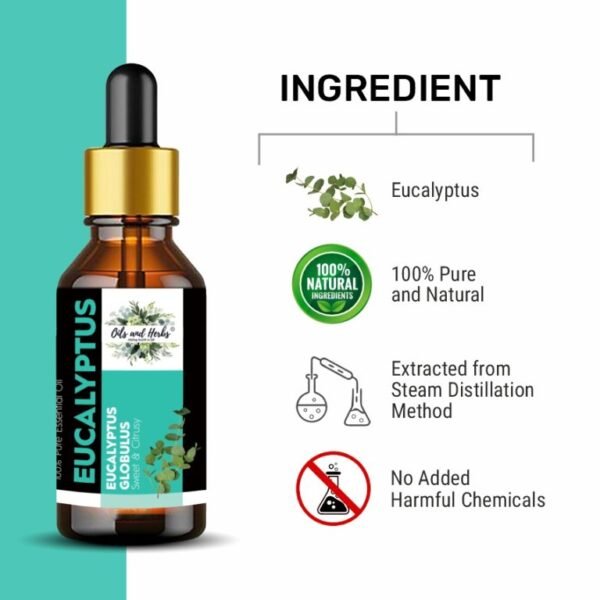 natural eucalyptus essential oil – 100% pure & therapeutic grade