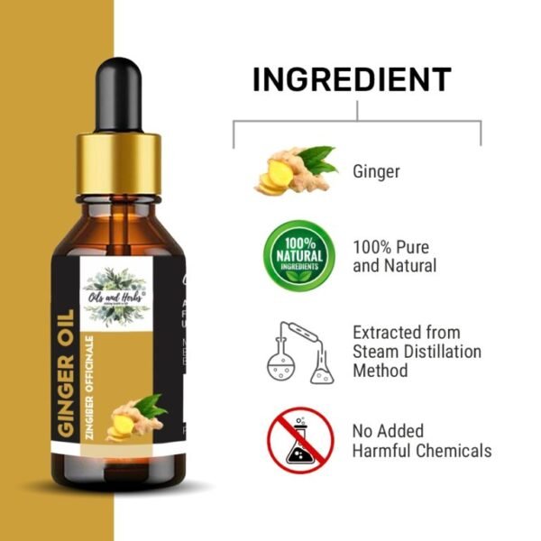 ginger essential oil – 100% pure & natural