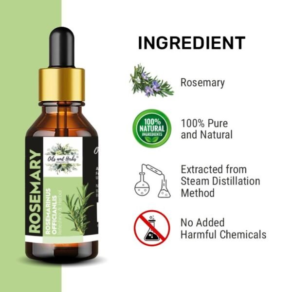 natural peppermint essential oil – 100% pure & therapeutic grade